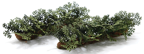 Dollhouse miniature FERN ROW, 2 PACK